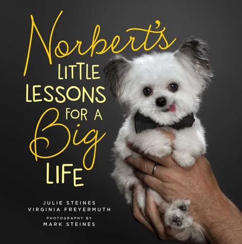 americanbookwarehouse10-875457