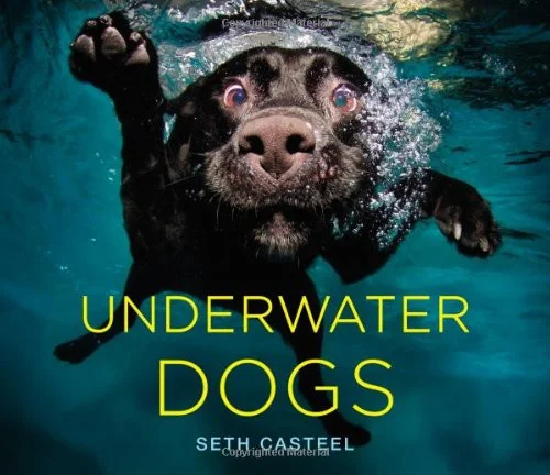 americanbookwarehouse10-876859
