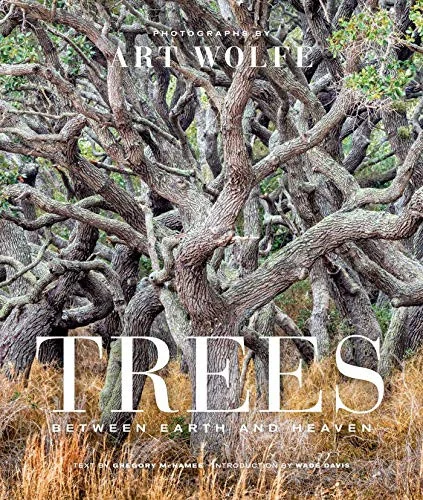 americanbookwarehouse10-879625