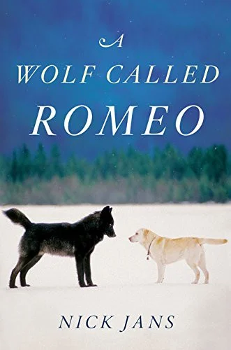 americanbookwarehouse10-882710
