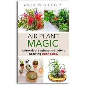 americanbookwarehouse10-891470