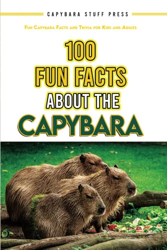 americanbookwarehouse12-1777248