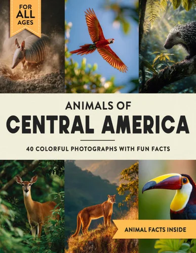 americanbookwarehouse12-1796751