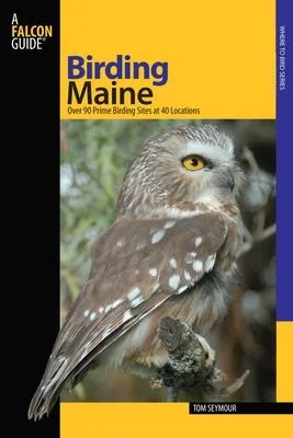 discountmags10-1413677