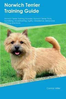 discountmags10-1438094