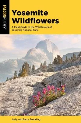 discountmags12-1552068