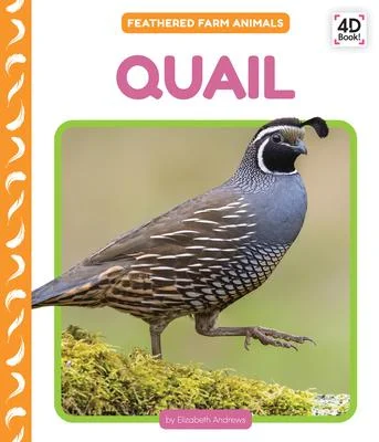 discountmags13-1607422
